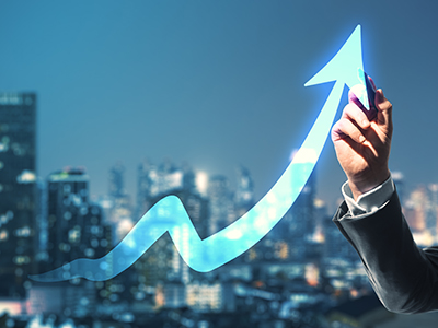 Owner's Guide to Growth Course
