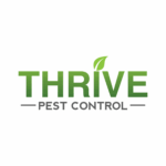 #Thrive